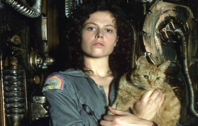 The cat from Alien is getting it’s own spin off