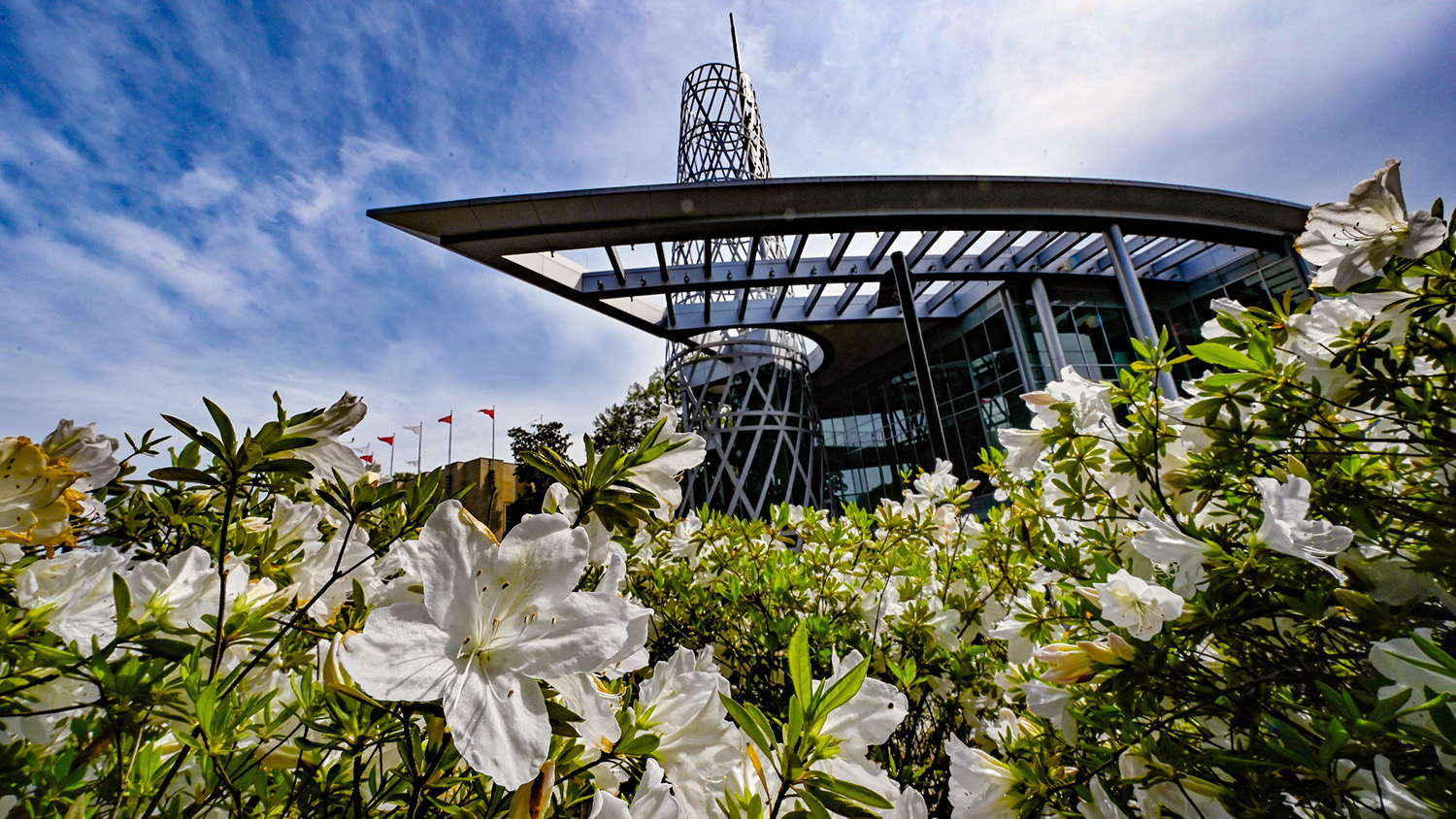 Spring blooms frame the Talley Student Center on a warm spring afternoon.