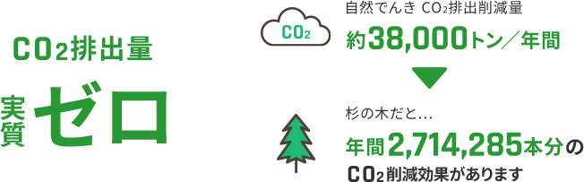 実質ゼロ 自然でんきCO2排出削減量 約38,000トン／年間 杉の木だと... 年間2,714,285本分のCO2削減効果があります