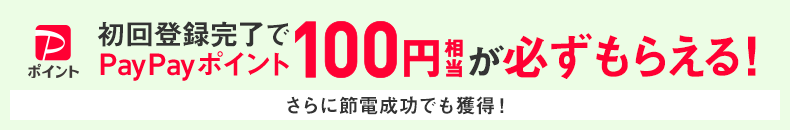 初回登録完了でPayPayポイント100円相当が必ずもらえる！