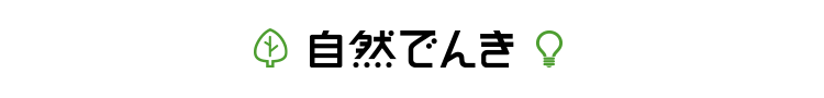 自然でんき