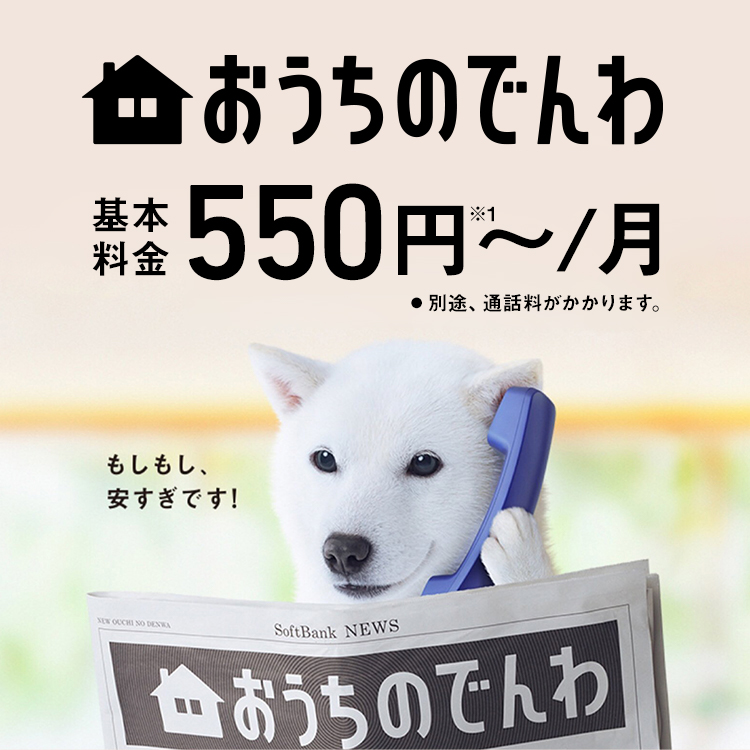 おうちのでんわ 基本料金550円～／月 ※1 別途、通話料がかかります。