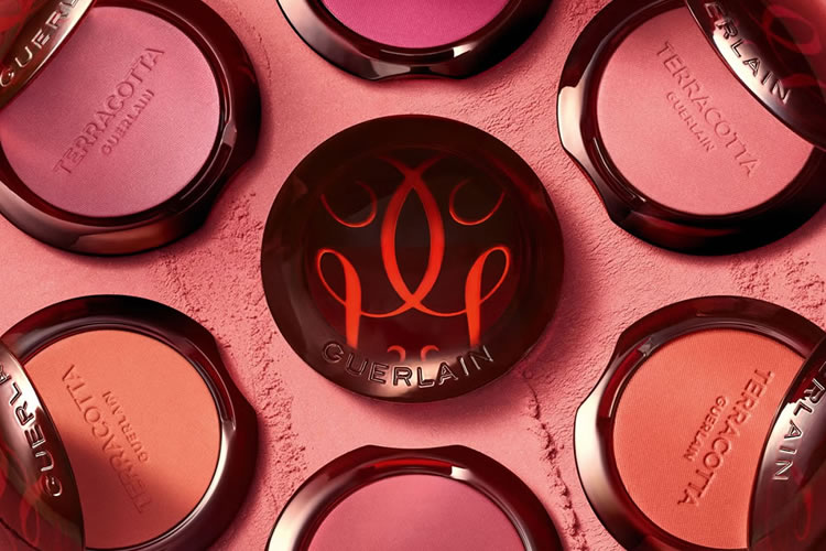 Guerlain Terracotta Healthy Glow Powder Blush