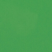 Bazzill Basics - 12 x 12 Cardstock - Smoothies - Smooth Texture - Green Apple