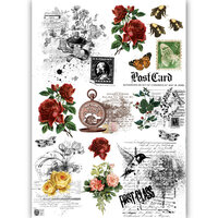 Dress My Craft - Transfer Me - Botanical Scripts