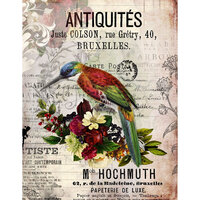 Dress My Craft - Transfer Me - Kingfisher