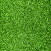 Scrapbook Customs - Sports Collection - 12 x 12 Single Sided Paper - Sports Turf