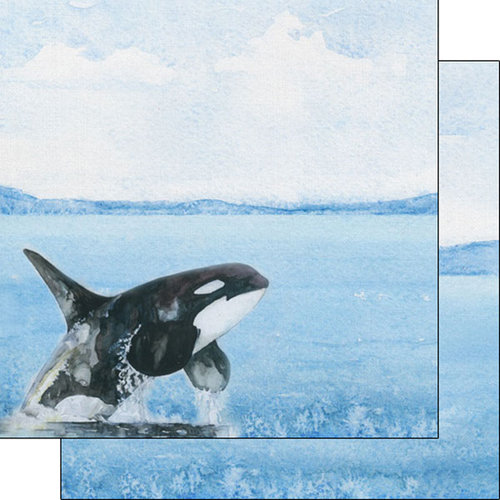 Scrapbook Customs - Safari Watercolor Collection - 12 x 12 Double Sided Paper - Orca