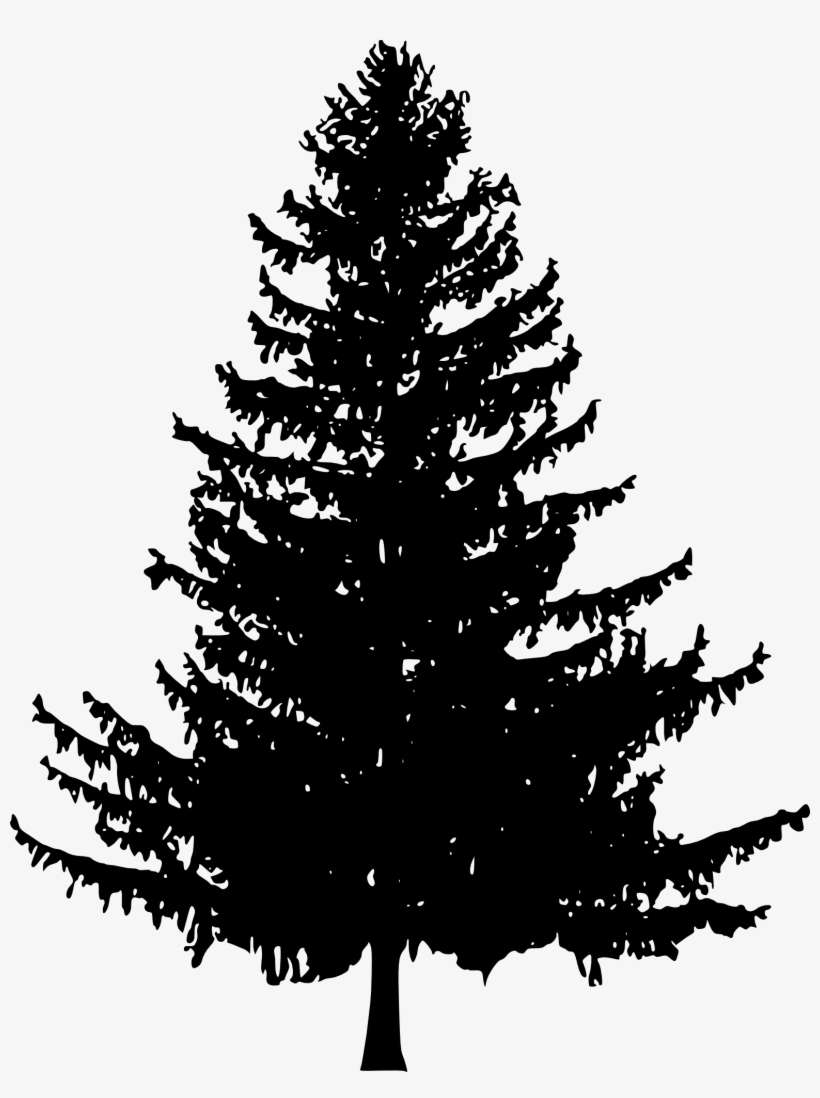 Download Free Download - Pine Tree Silhouette Png PNG Image | Transparent PNG Free Download on SeekPNG