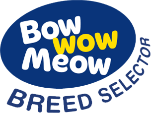 Bow Wow