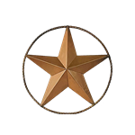 Bronze Metal Star - 24"