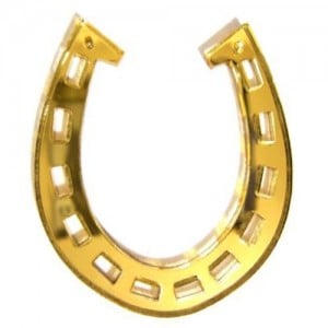 horse shoe