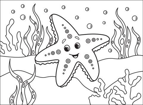 echinoderm coloring pages