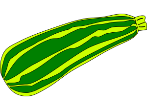 Zucchini PNG