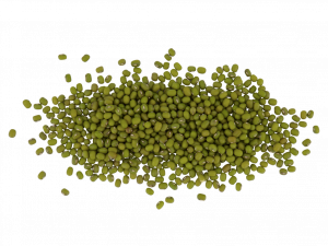 Mung Bean