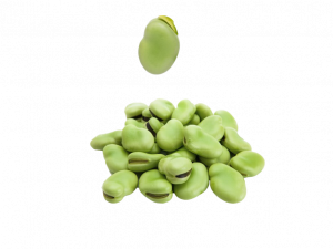 Mung Bean PNG