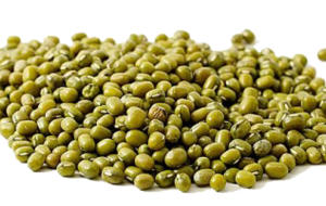 Mung Bean PNG File