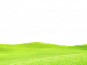 golf course, green landscape, rolling hills, outdoor recreation, Grass Ground PNG