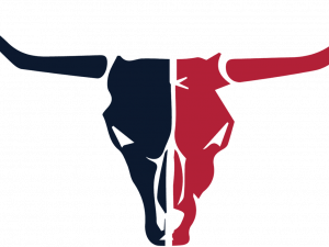 Houston Texans PNG