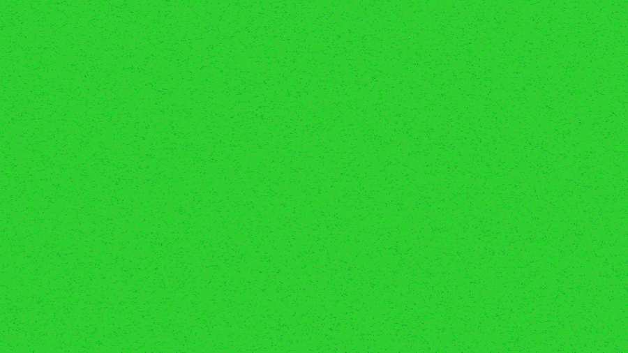 solid green background image free