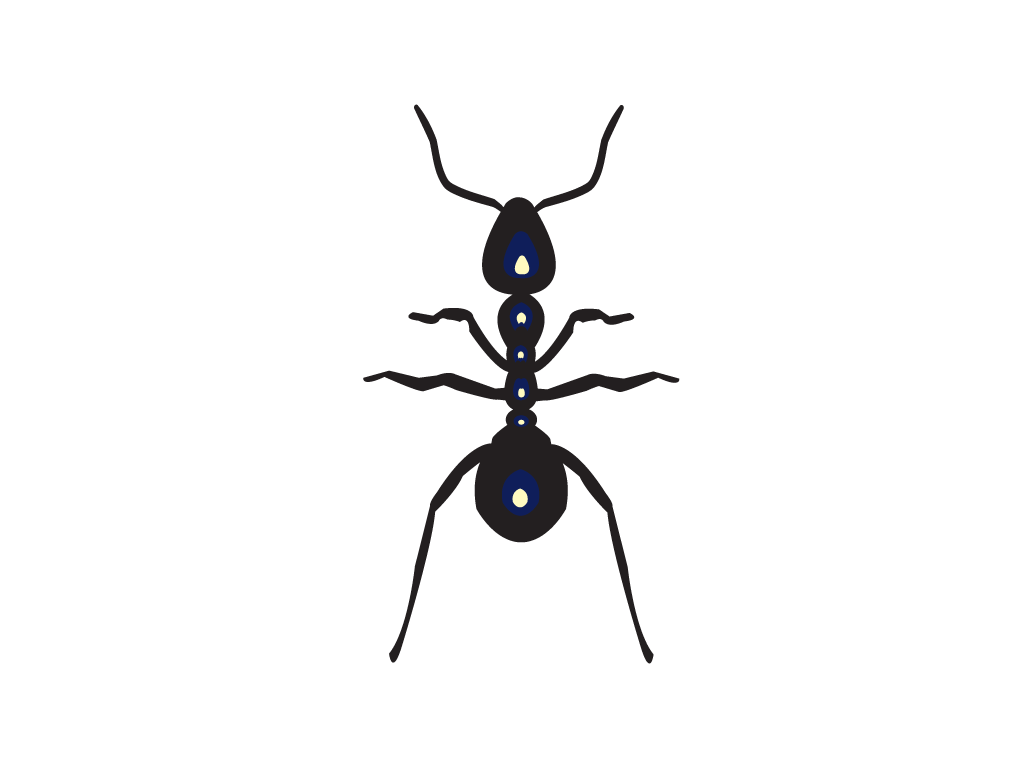 Download Free ant-png-vector-PSD-clipart-with-transparent-background-photo-for-free-download for websites, slideshows, and designs | royalty-free and unlimited use.