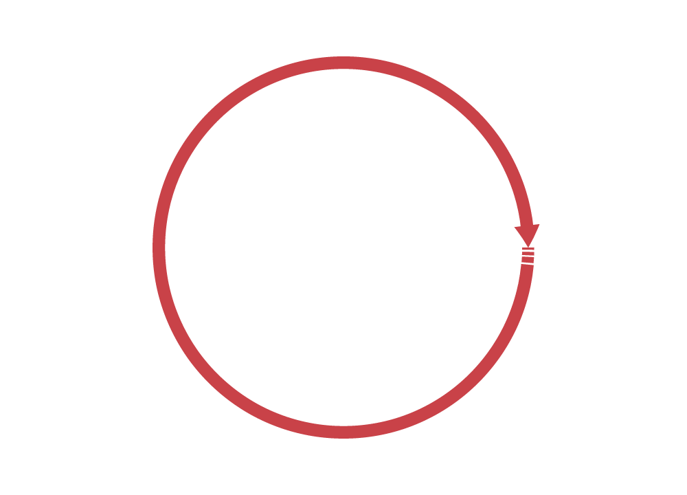 best dark red arrow circle png