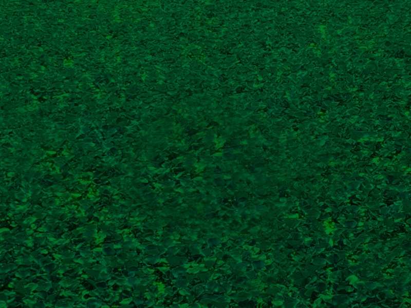 dark green wallpaper hd