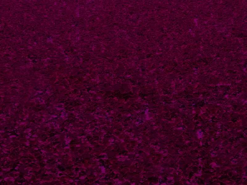 dark pink nature wallpaper