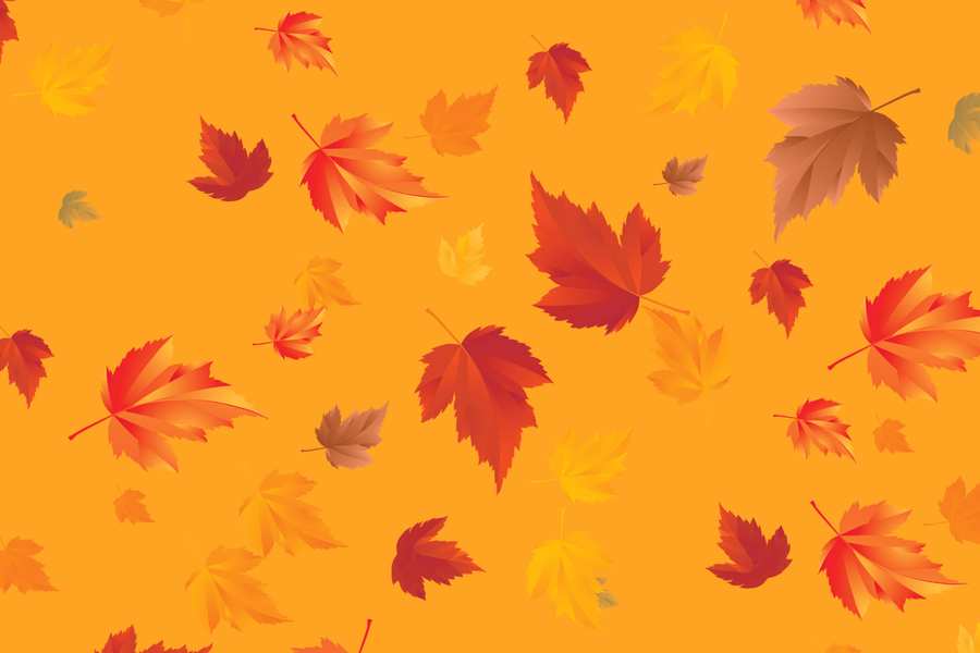 fall leaves background