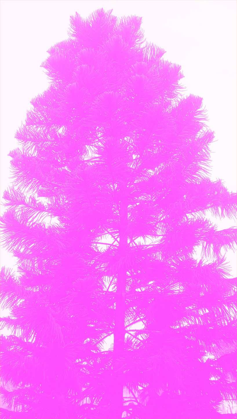 iphone pink wallpaper