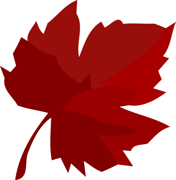 Red Maple Leaf, Nature Symbol, Autumn Decor PNG