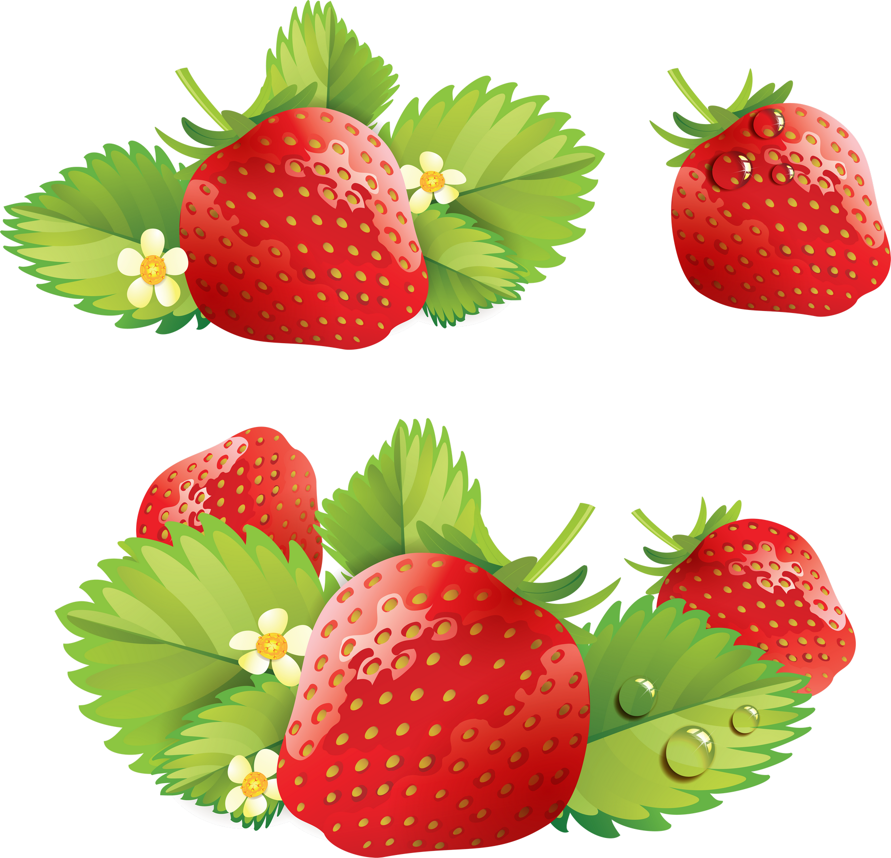 Red Berry, Fresh Fruit, Juicy Strawberry PNG Image