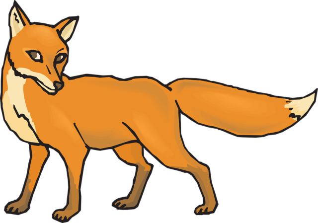 Dhole Animal, Wild Canine, Nature Wildlife Free PNG