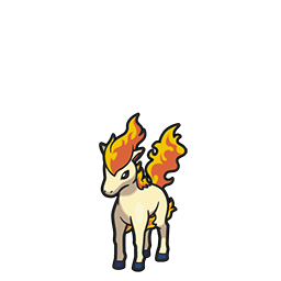 Ponyta