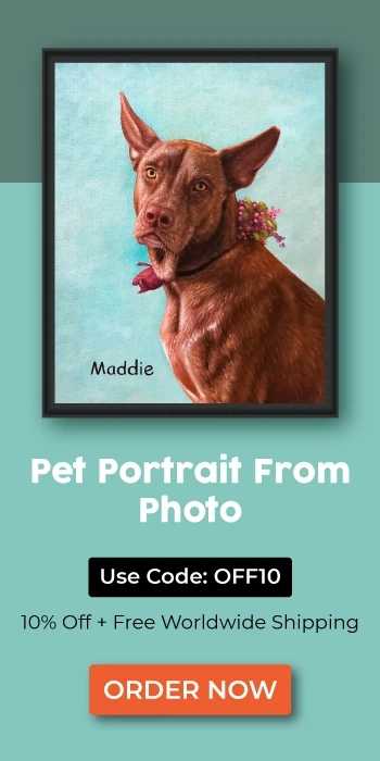 pet portrait