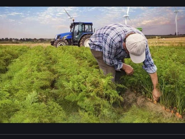 Turkey’s climate problem hits agriculture hard