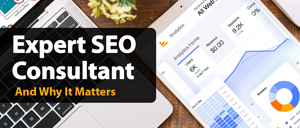 expert seo consultant