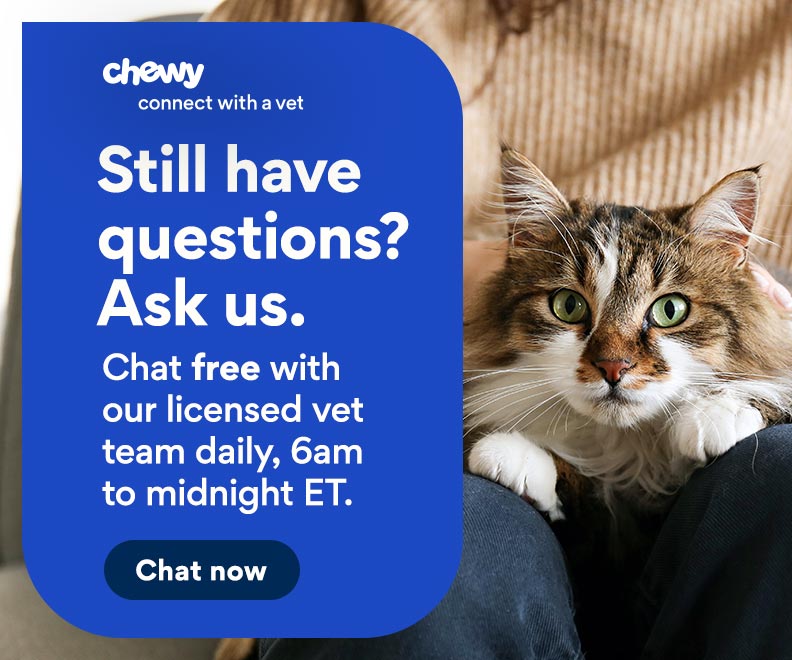 Get Instant Vet Help Via Chat or Video. Connect with a Vet. Chewy Health