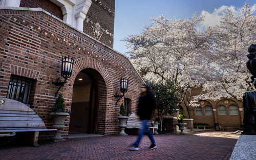 A person walking in front of the museum.