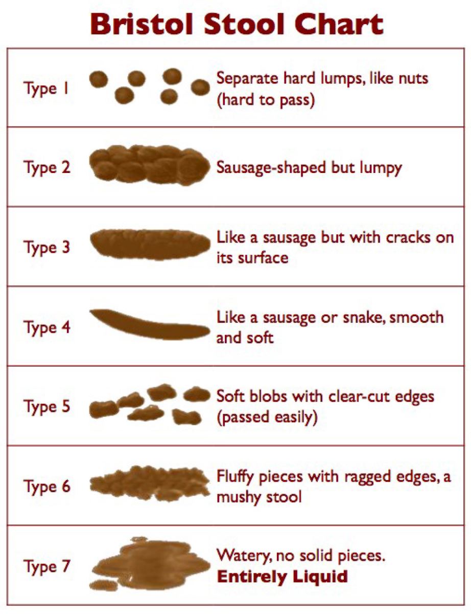 types of poop what doctors need you to know the healthy at readers ...