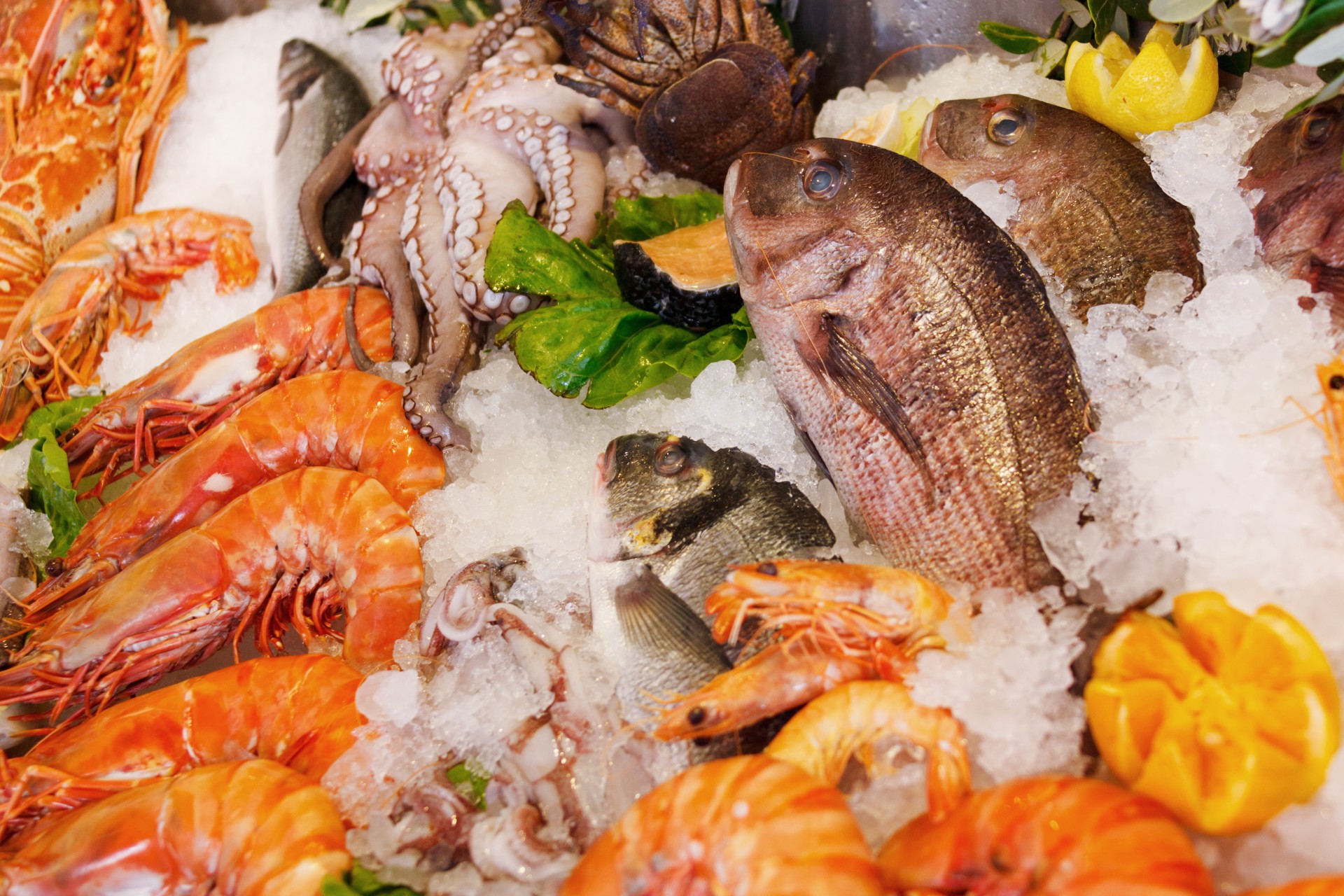 best seafood market suffolk county