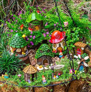 Mini Garden in a Hanging Planter