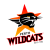 Perth Wildcats logo