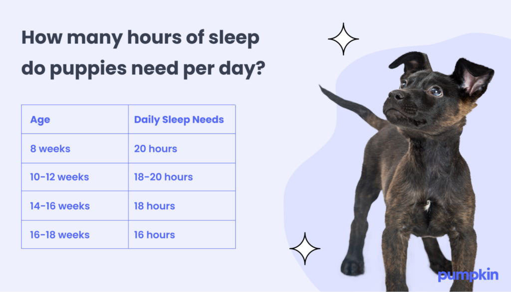 Chart showing hours of sleep puppy needs by age in weeks