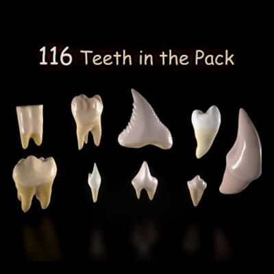 Great Teeth Pack 3D Model