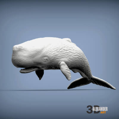 Sperm Whale Sculpt