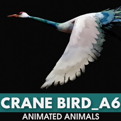 Crane Bird A6