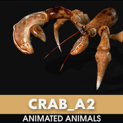 Crab-A2-Animated