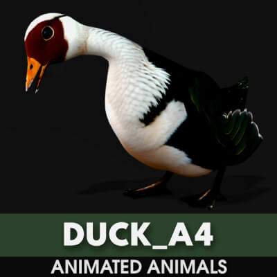 Duck A4 Animated