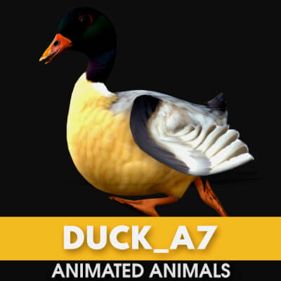 Duck A7 Animated